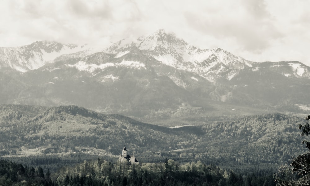 green trees near snow covered mountain during daytime