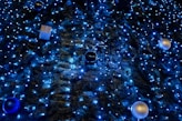 blue and white string lights