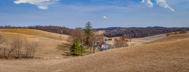 Green trees across worked farmland near Armstrong