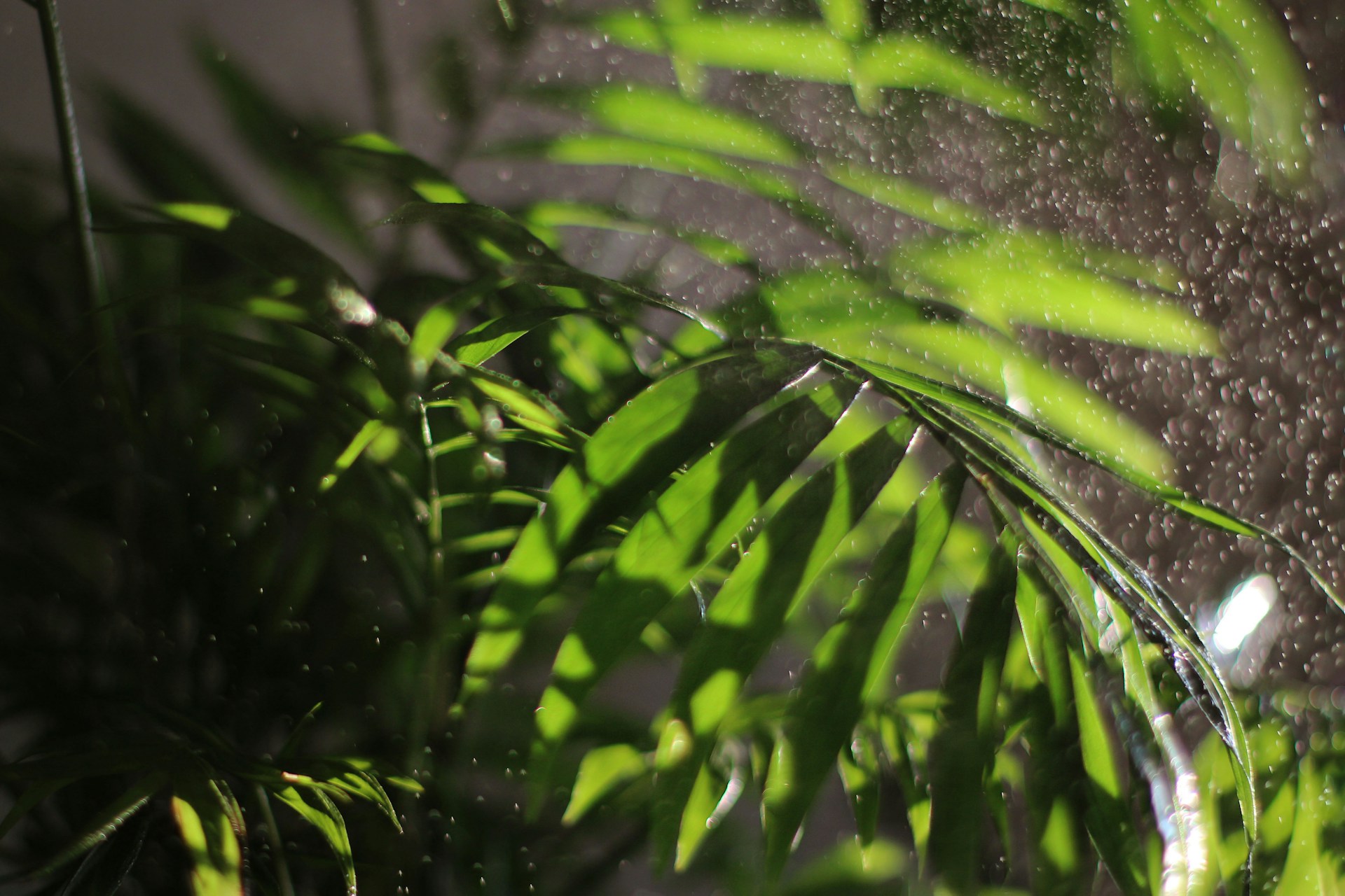 woman wearing yellow long-sleeved dress under white clouds and blue sky during daytime