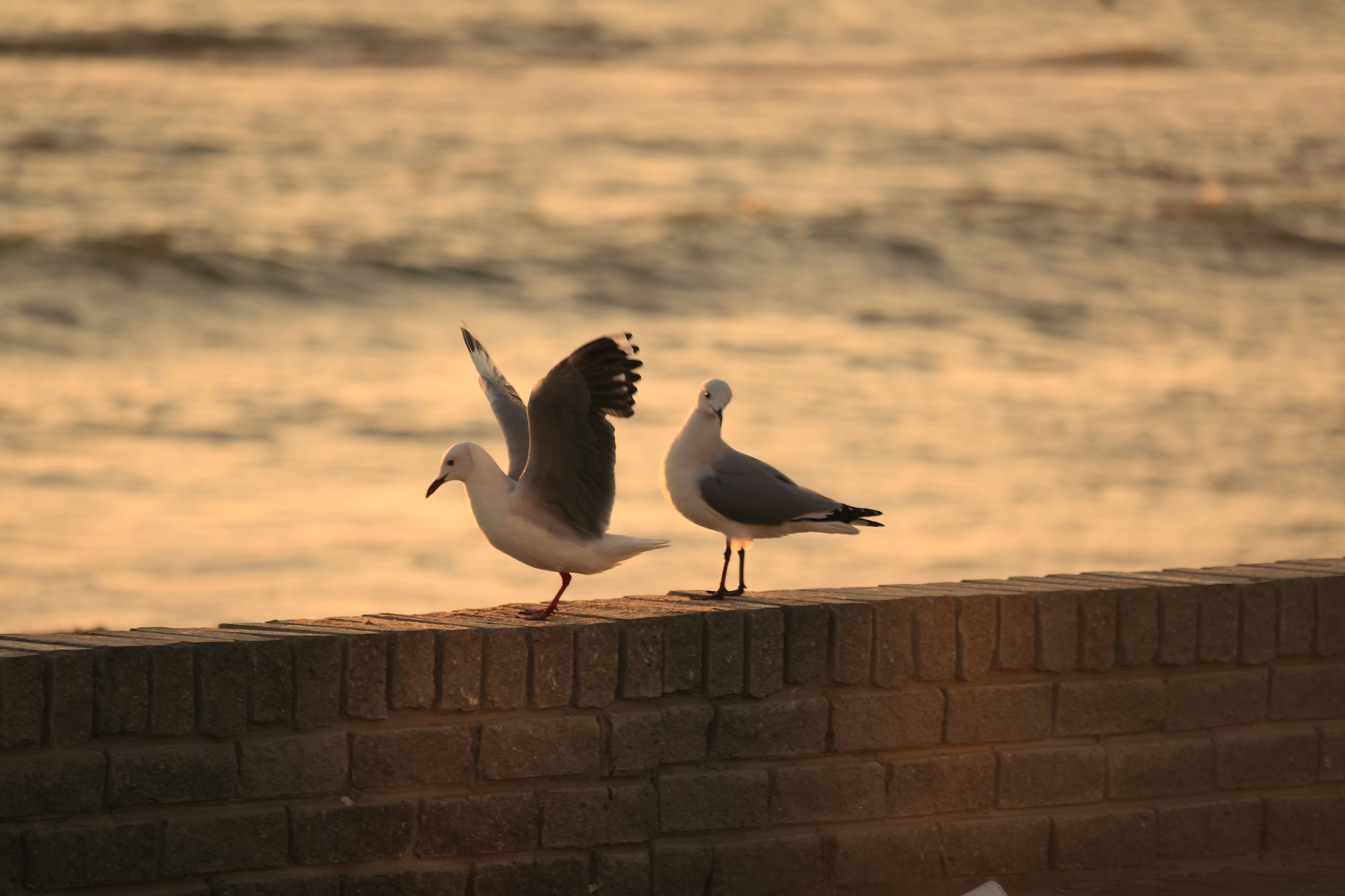 Swakopmund – Budgeting & Cost Expectations