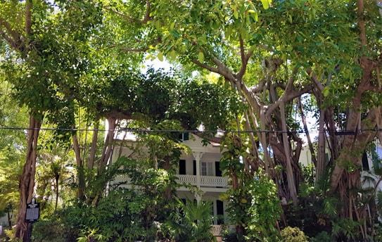 A friendly technician inspecting a cozy Orlando home surrounded by lush greenery.