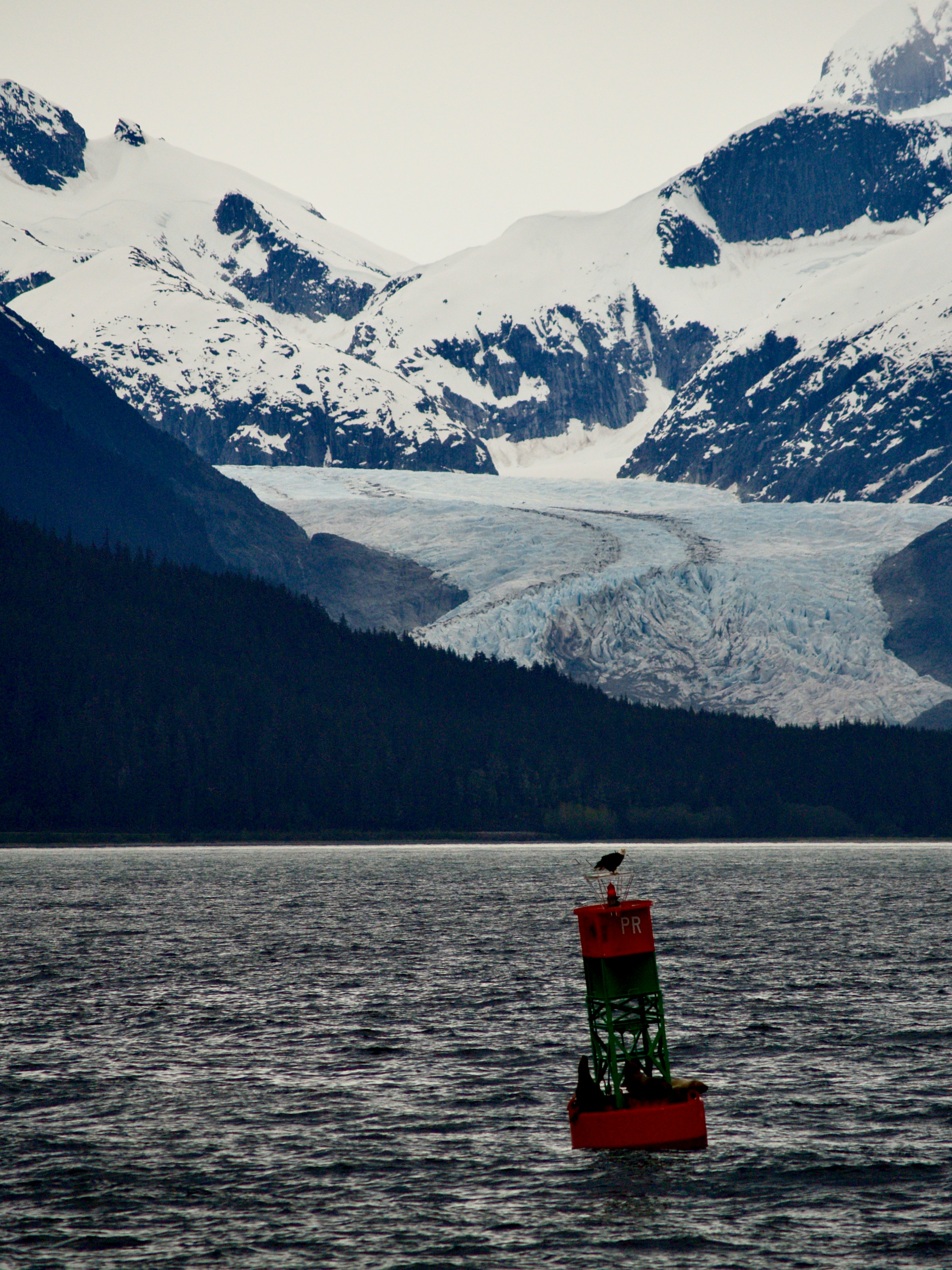 A photo of the Inside Passage in Alaska, calm waters surrounded by green islands and mountain glaciers in the distance. (Photo by Peter Burdon on Unsplash)