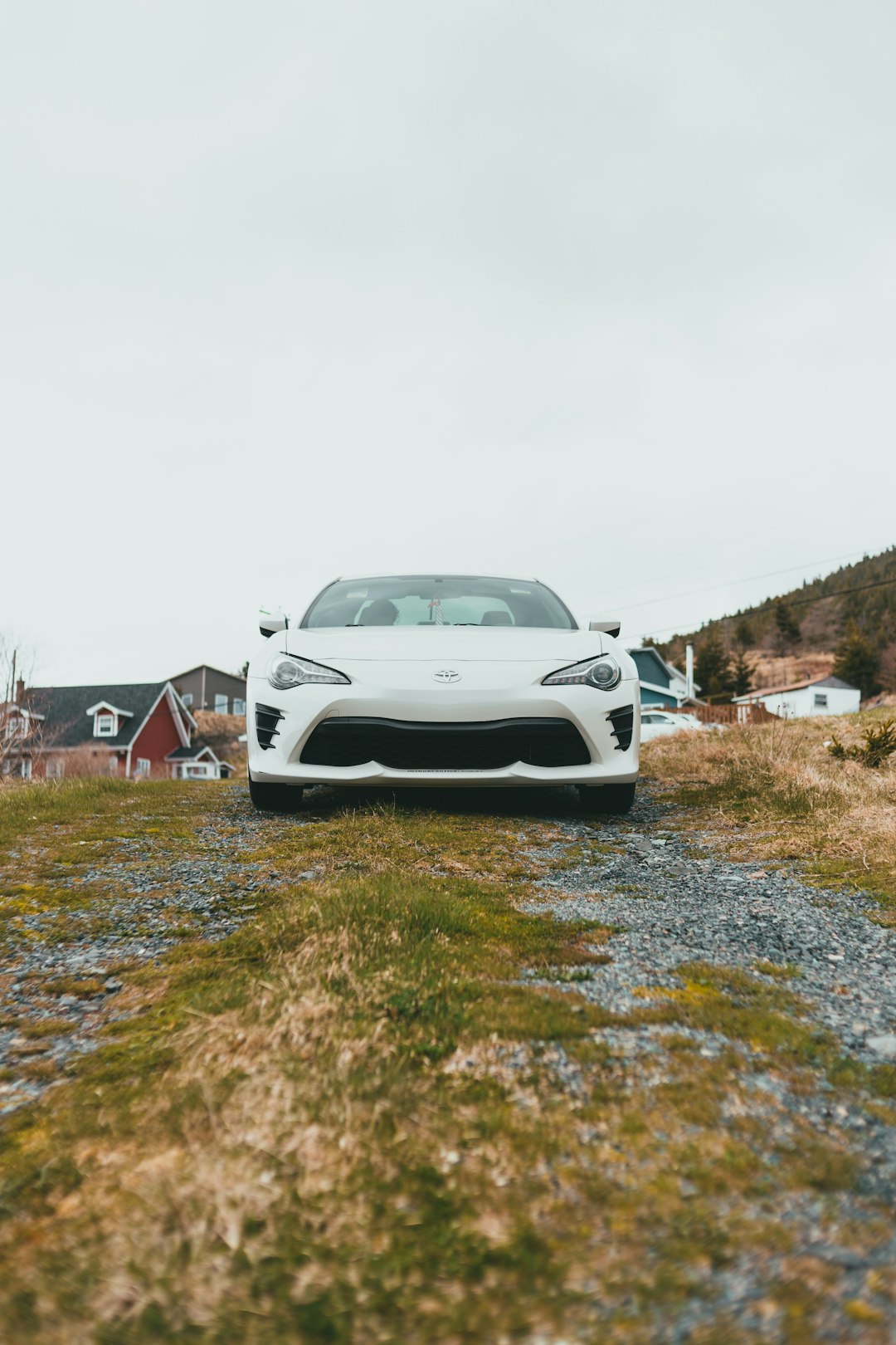 white chevrolet camaro on green grass field during daytime