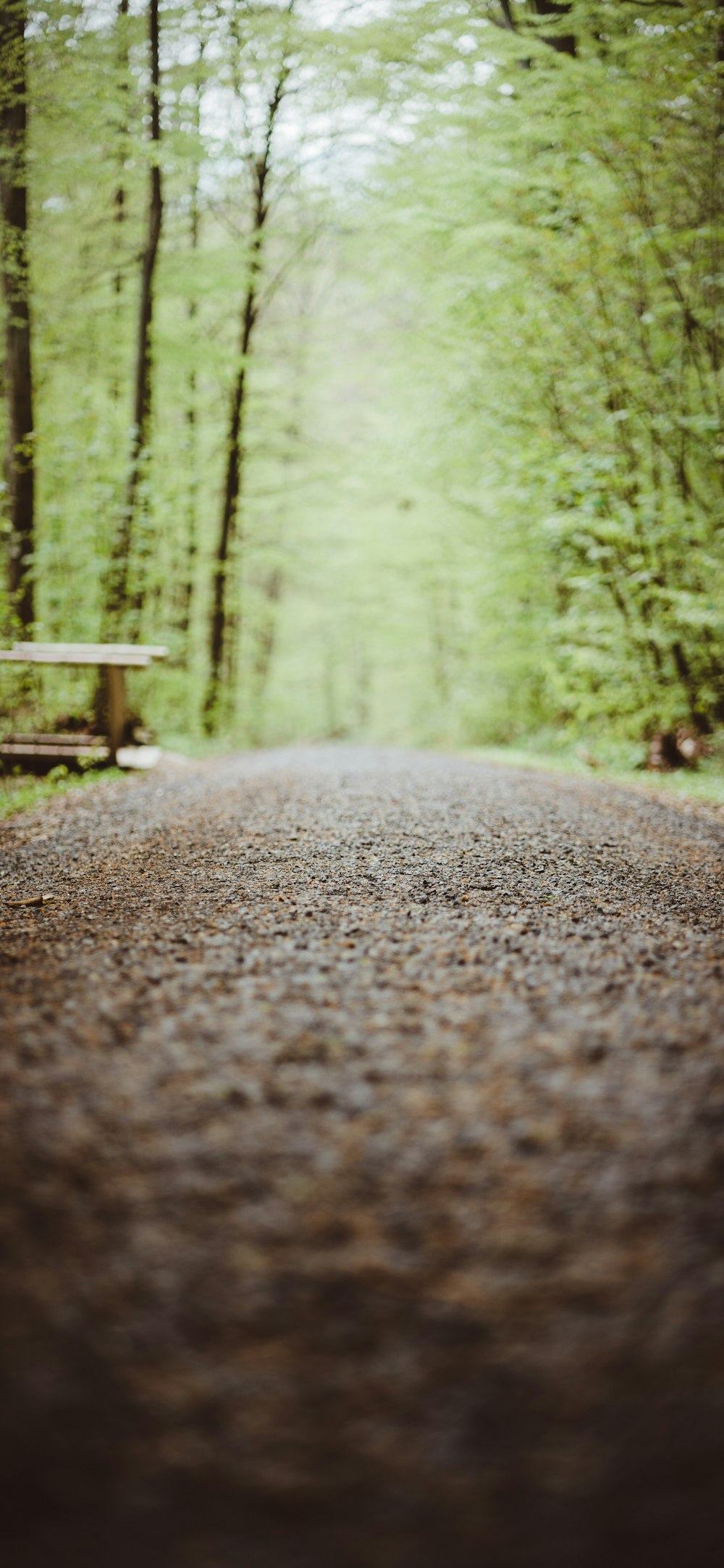 brown wooden bench on brown dirt road photo – Free Germany Image on Unsplash