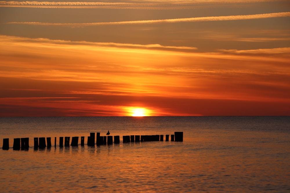 silhouette of people on sea dock during sunset