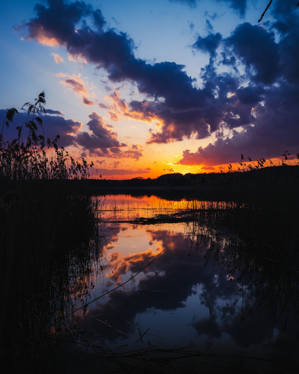 body of water near green grass during sunset