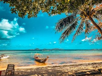 brown boat on beach during daytime