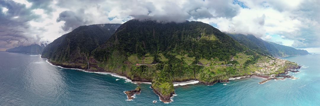 green trees on island during daytime