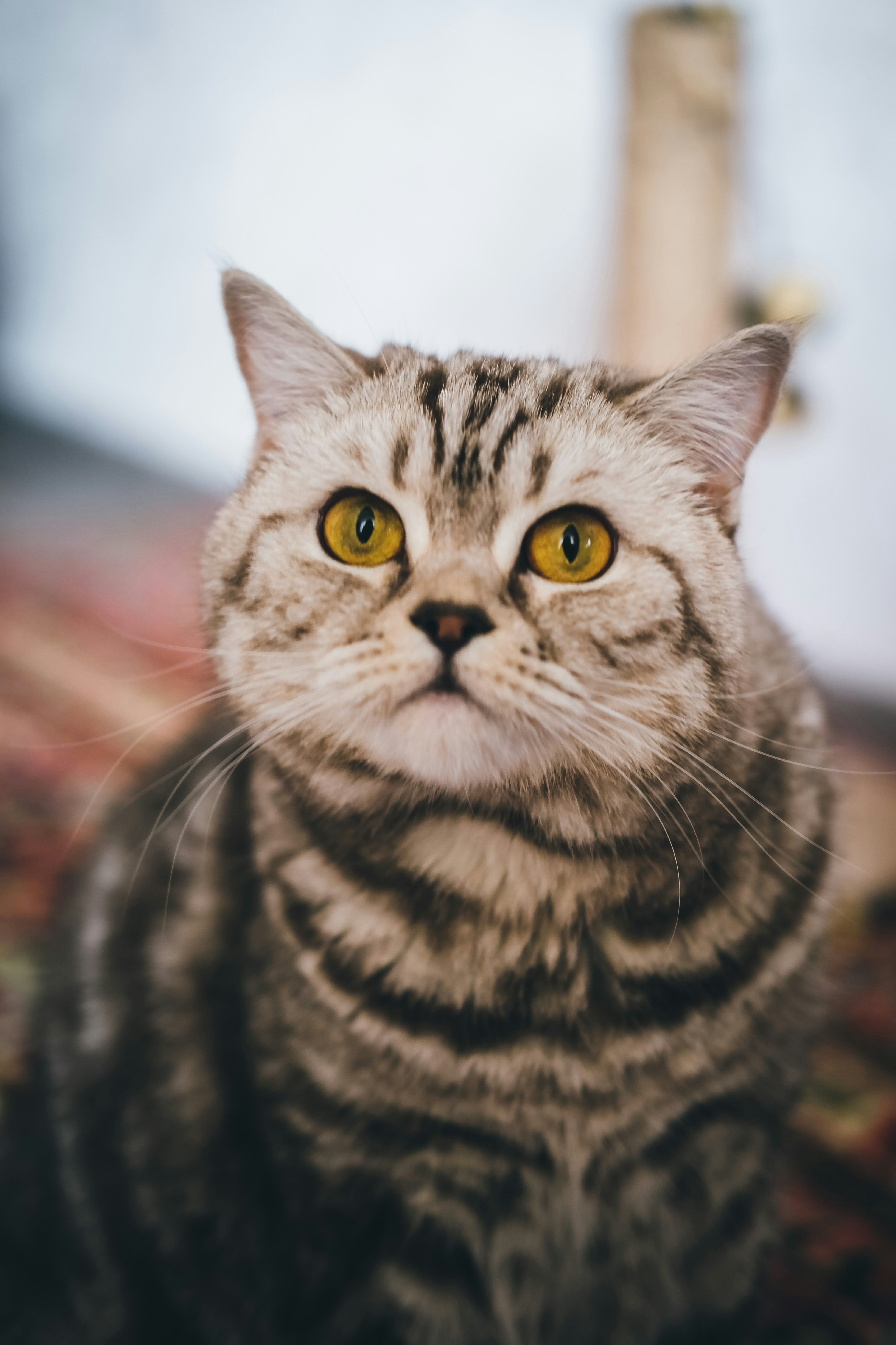 Photo by create4eyes