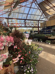 A greenhouse with a variety of plants displayed in pots. The structure has a transparent ceiling allowing natural light to illuminate the interior. Pink pinwheels and ornamental flamingos add decorative touches among the plants. A ladder rests against shelves filled with additional pots and gardening supplies. The greenery and colorful flowers create a vibrant and lively atmosphere.