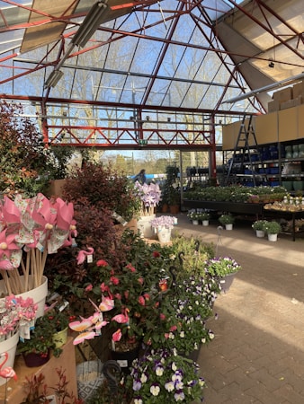 Innovations in Greenhouse Engineering: A Focused Approach