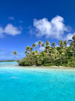 green palm trees on beach under blue sky and white clouds during daytime