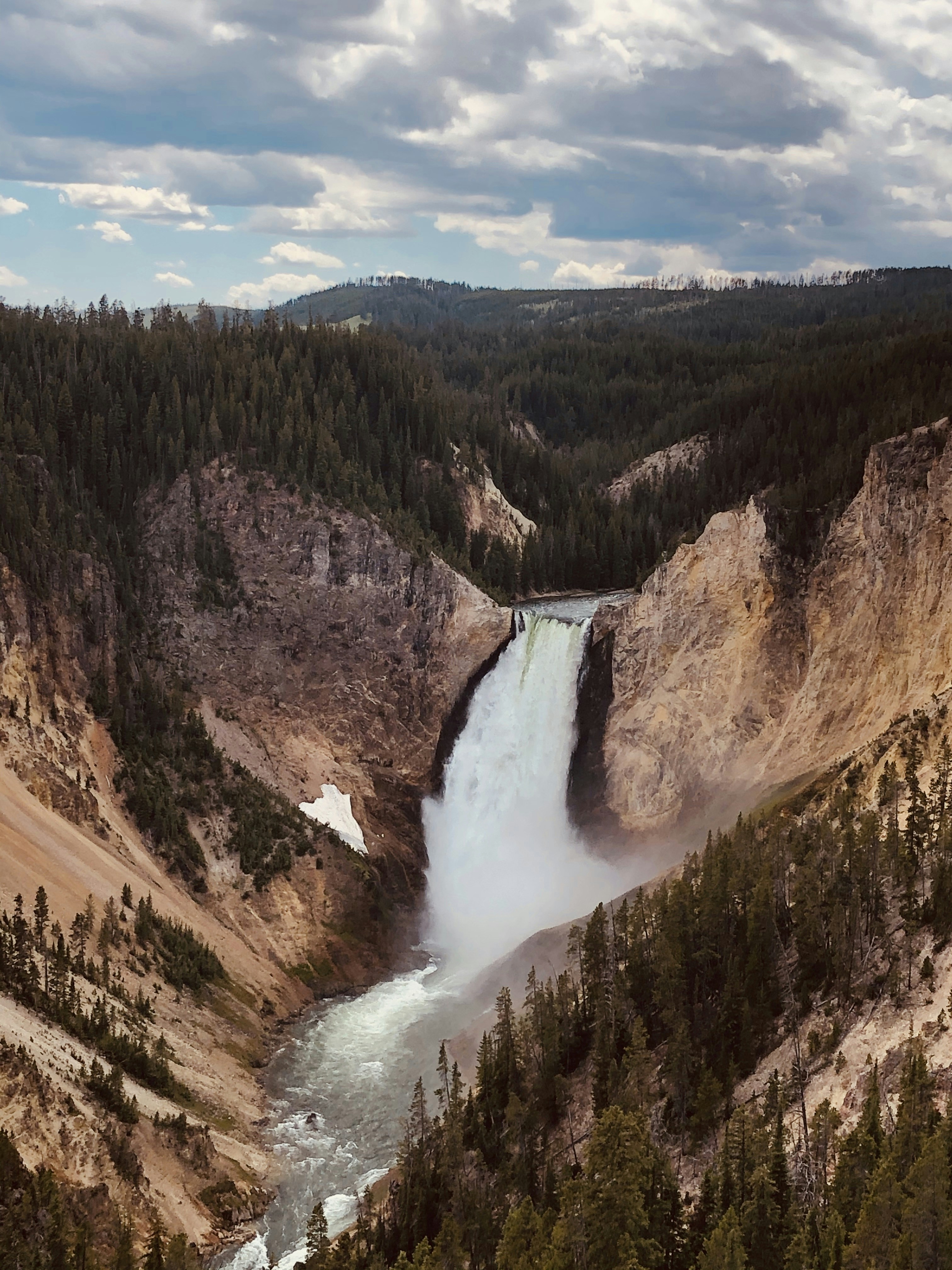 Photo by ellaholmstrom