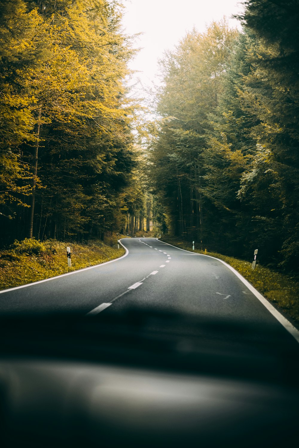 Carretera de asfalto negro entre árboles verdes durante el día