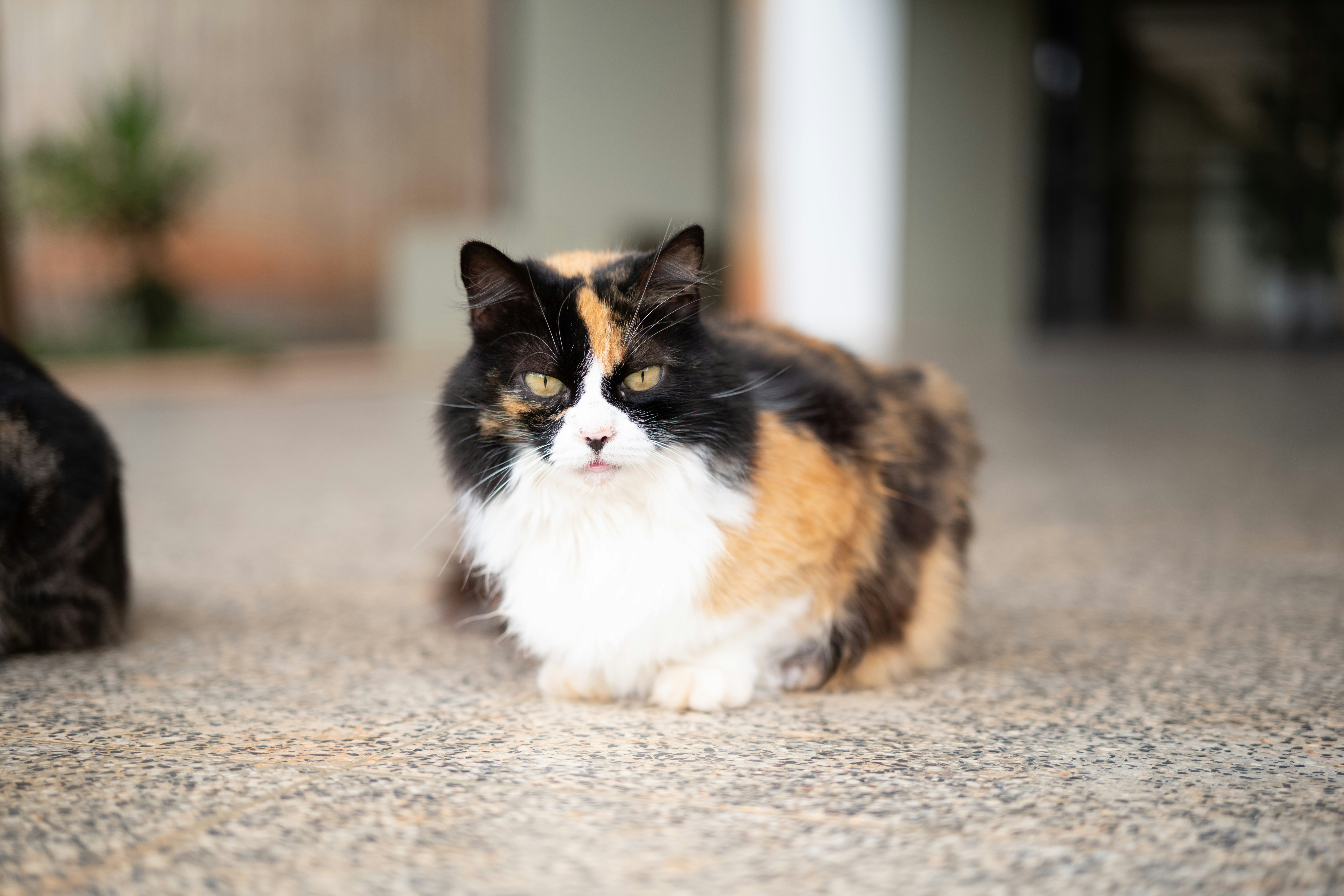 Photo by marcomartinsfilho