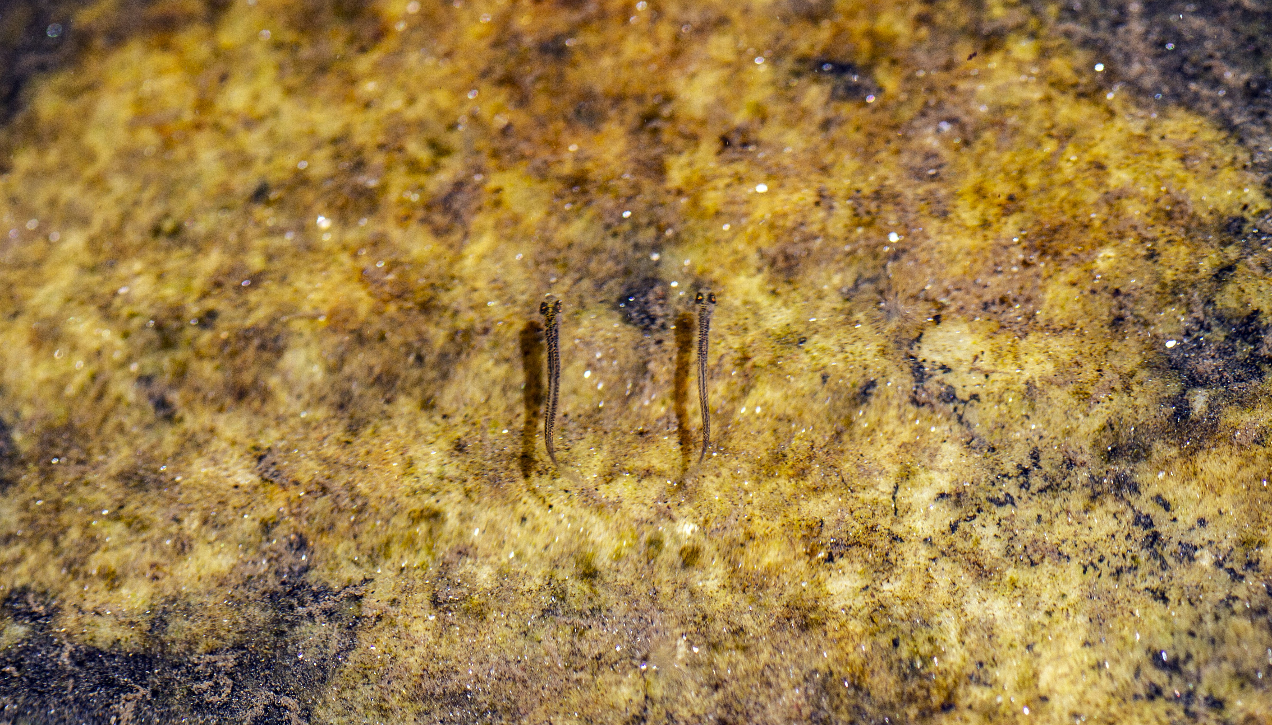 Photo by crystal_butler