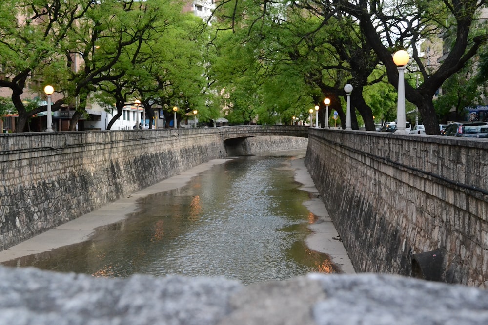 people walking on sidewalk near river during daytime