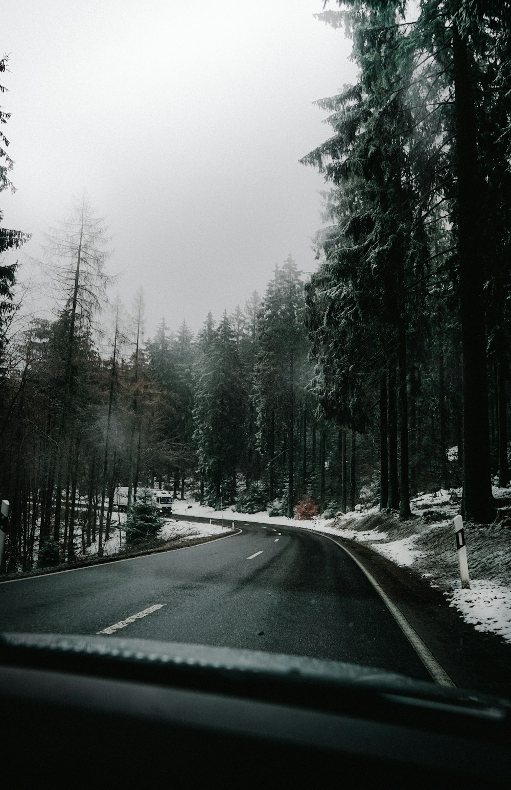 gray concrete road between trees covered with snow during daytime