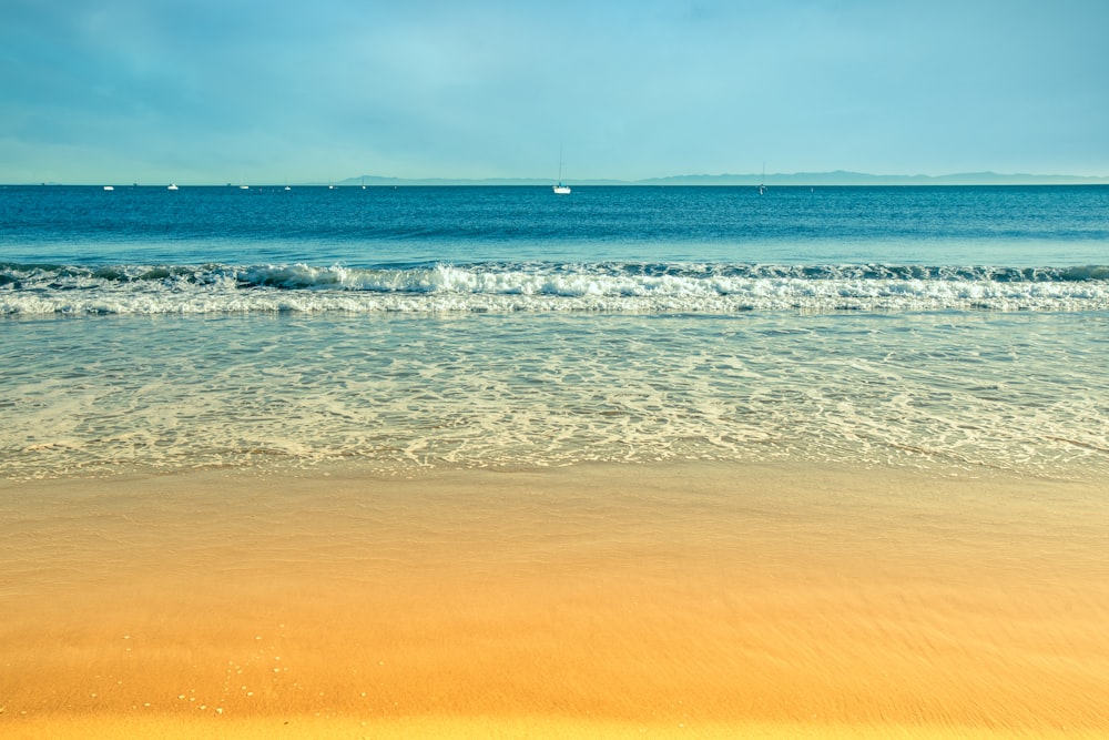 people on beach during daytime