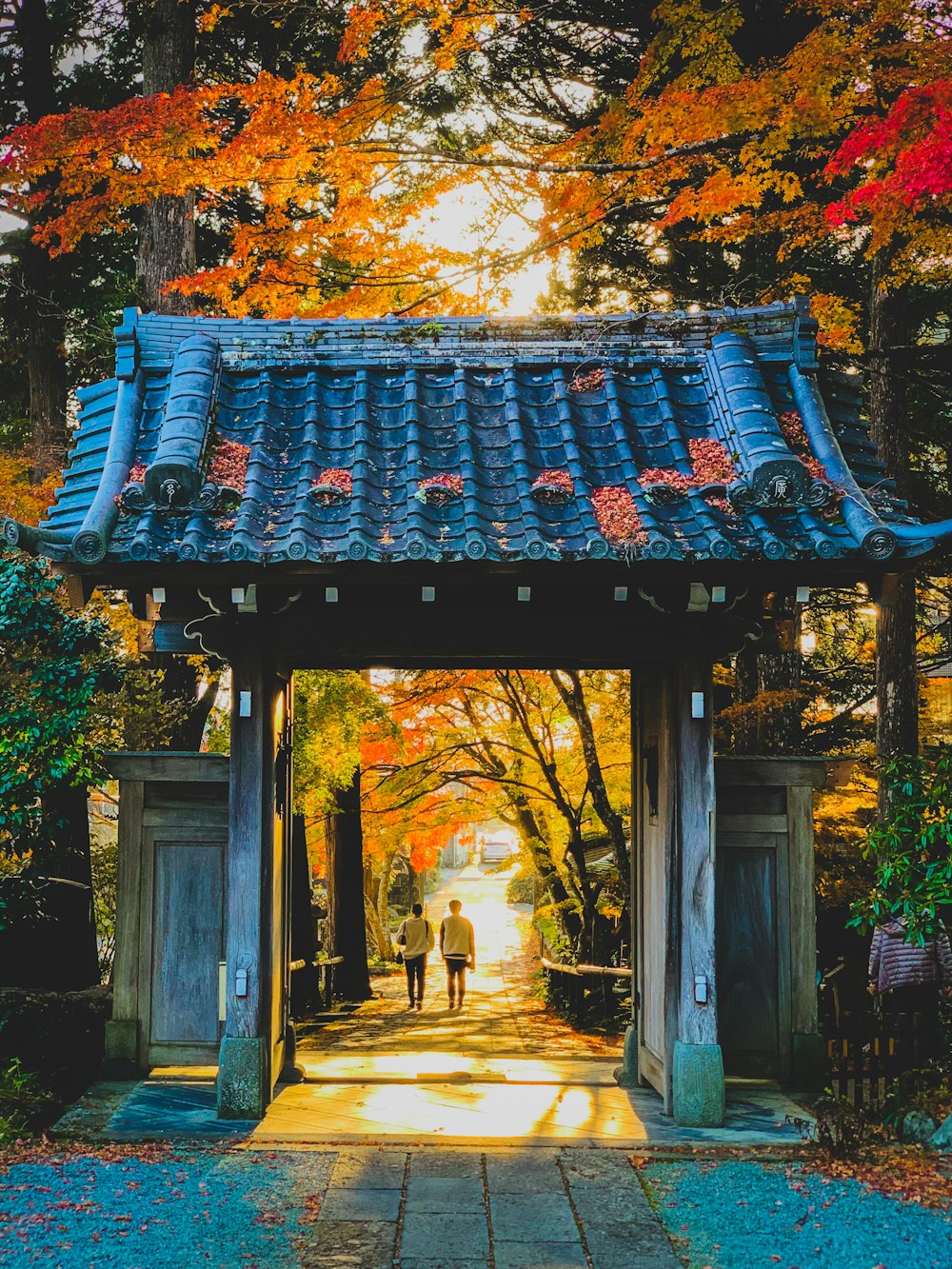 昼間の木の近くの茶色と黒の木造住宅