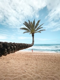 imagine owning your own piece of paradise in sunny Mexico