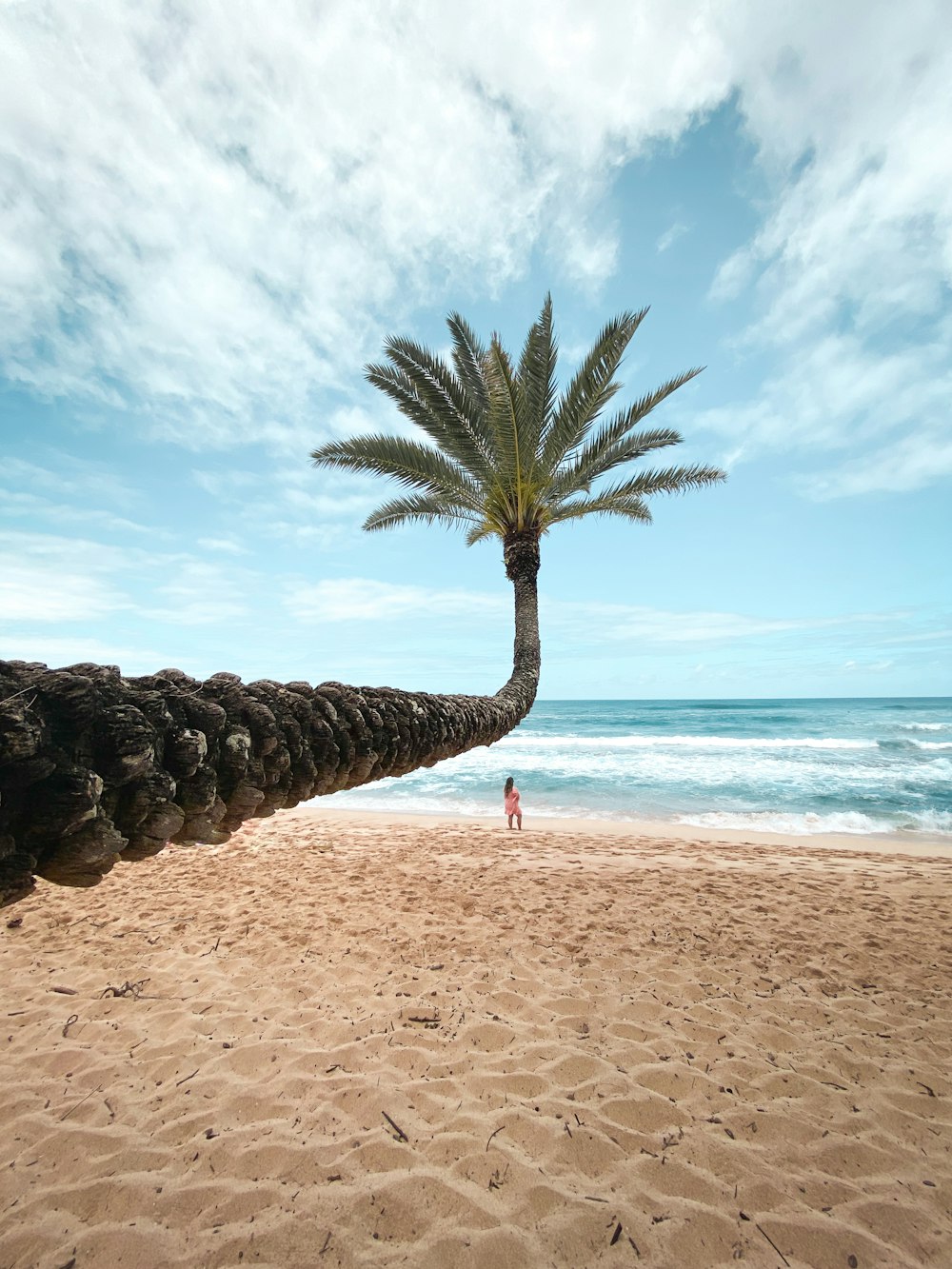 person standing on beach shore during daytime