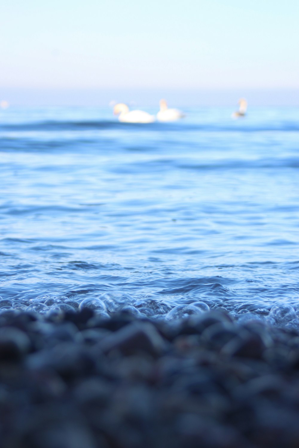 pietre bianche e nere sull'acqua di mare durante il giorno