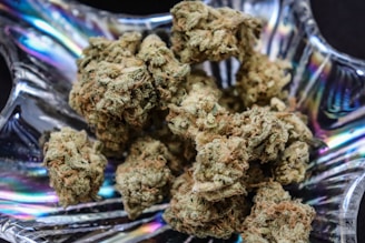 A close-up of dried cannabis buds placed in an iridescent glass dish. The buds appear dense, with a greenish-brown color and hints of orange and crystalline trichomes.