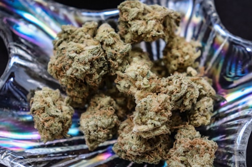 A close-up of dried cannabis buds placed in an iridescent glass dish. The buds appear dense, with a greenish-brown color and hints of orange and crystalline trichomes.