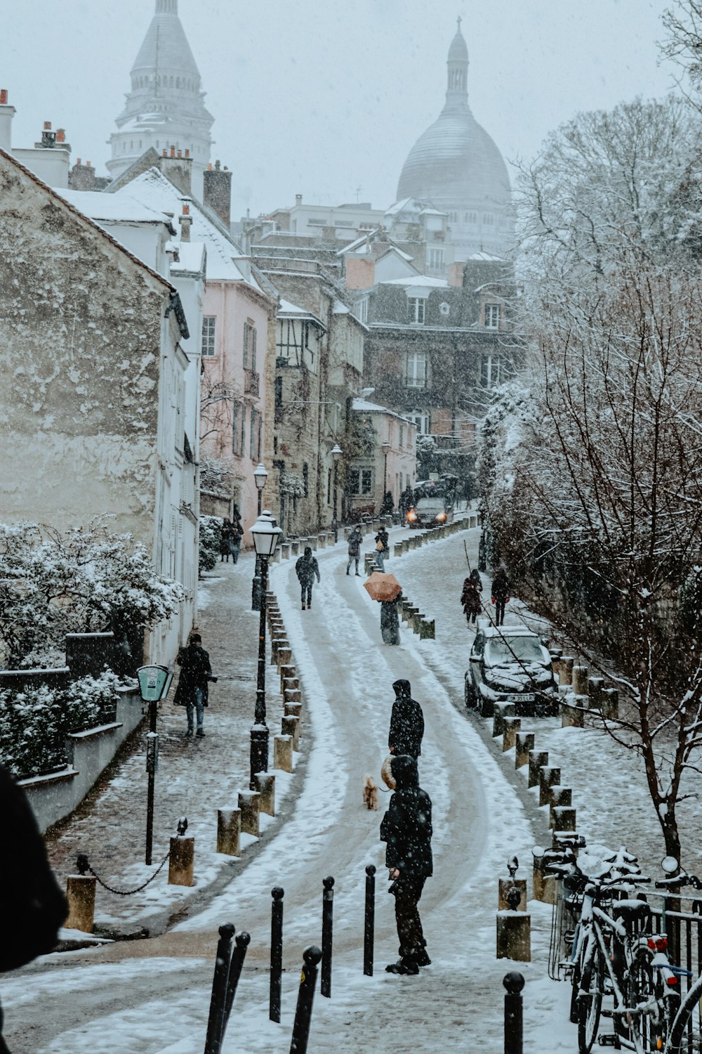 people walking on street during daytime