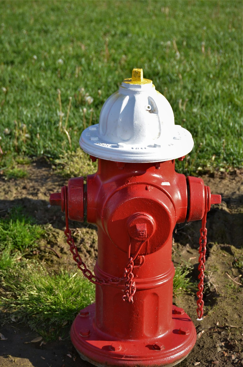 hidrante vermelho no campo de grama verde durante o dia