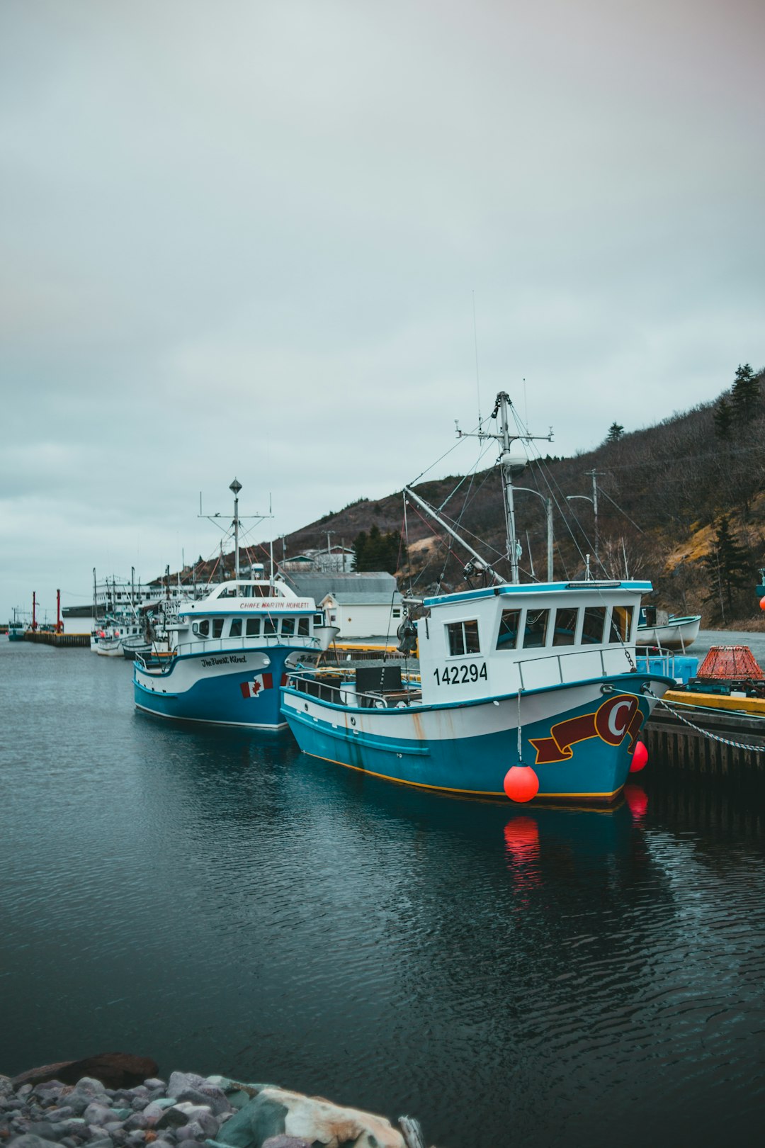 white and blue boat on body of water during daytime