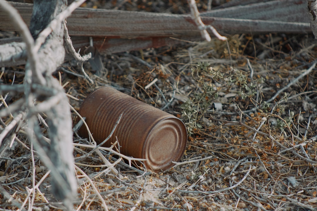 brown and white plastic cups on brown dried leaves