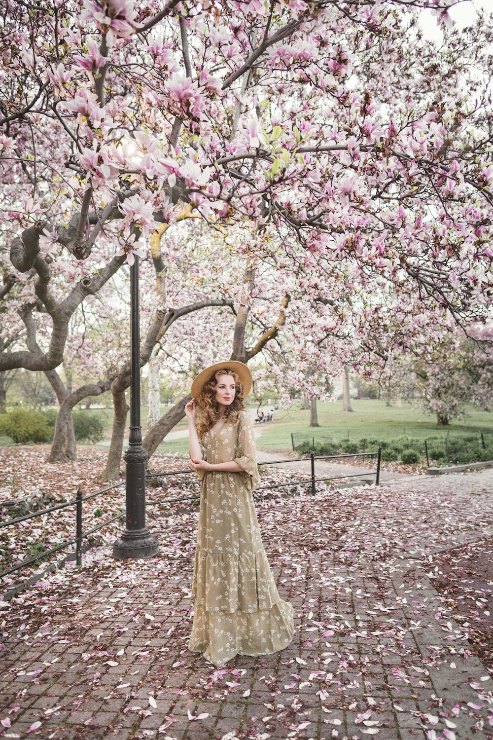 girl in white dress standing under pink cherry blossom tree during daytime