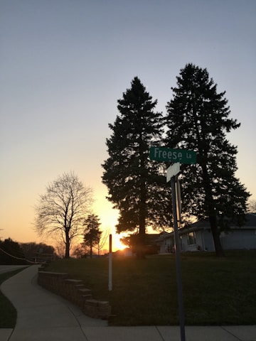 A peaceful suburban street scene captures a sunset behind a row of trees with a street sign in the foreground that reads 'Freese La'. The sky transitions from a pale blue to warm hues of orange and yellow. Leafless and evergreen trees create a silhouette against the setting sun, and a house is partially visible on the right. The sidewalk and road run parallel, curving gently around the grassy area.