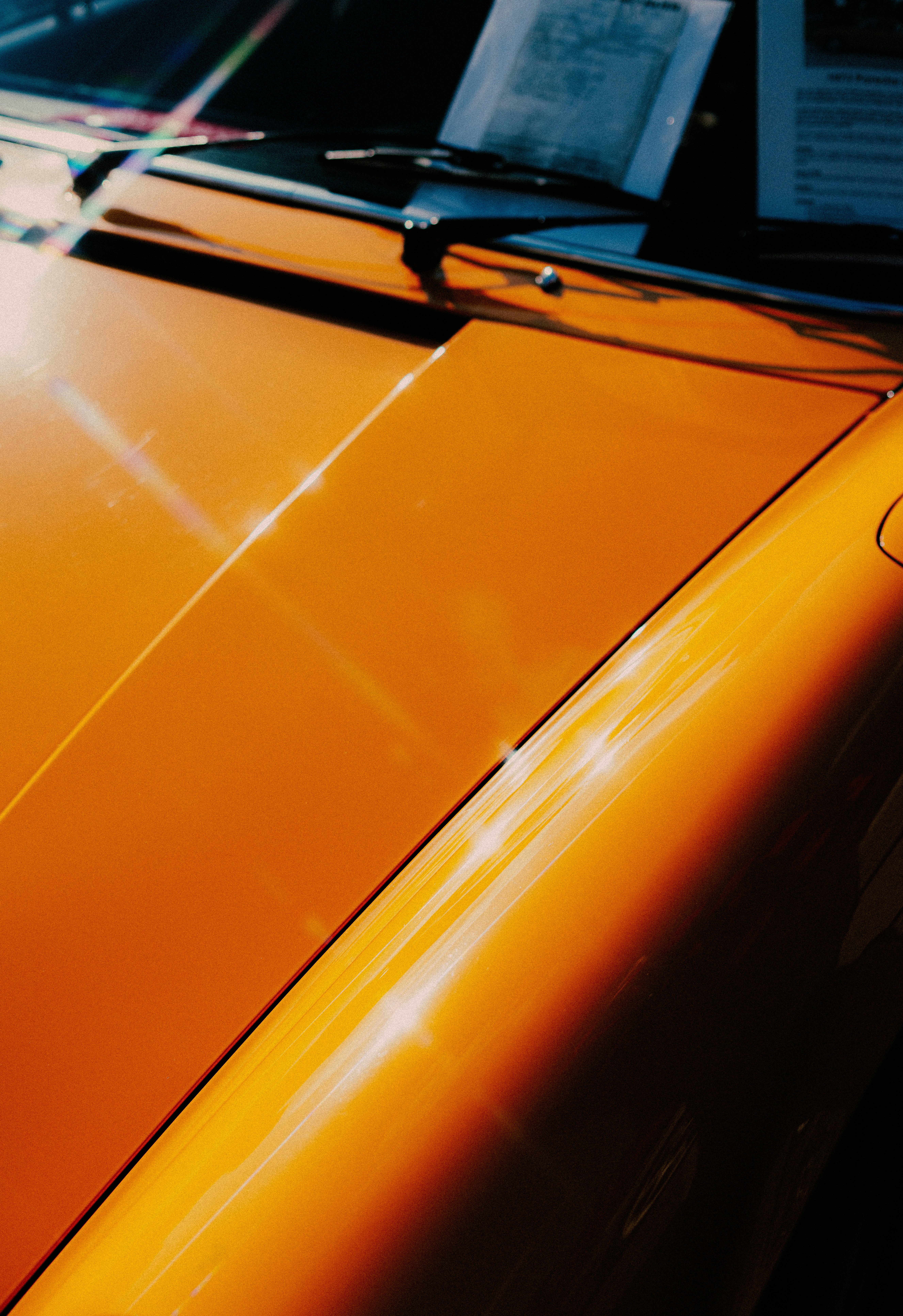 Photo by anewevisual