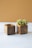 Two wooden cube-shaped planters sit on a light surface, one of which contains a small, lush succulent with clusters of green leaves. The wood displays natural grain patterns, and the background is a warm, light brown color.