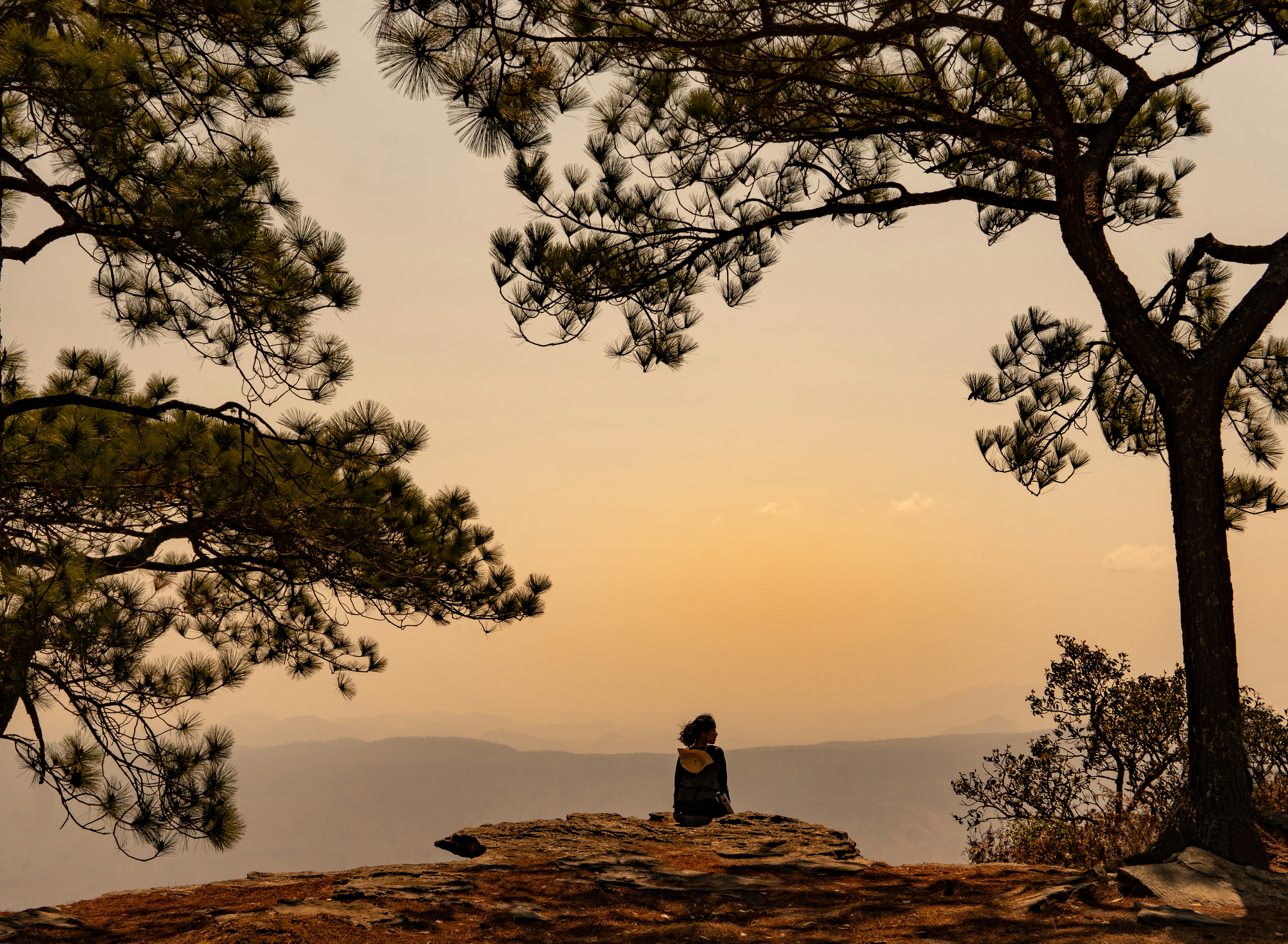 Photo by zackkop