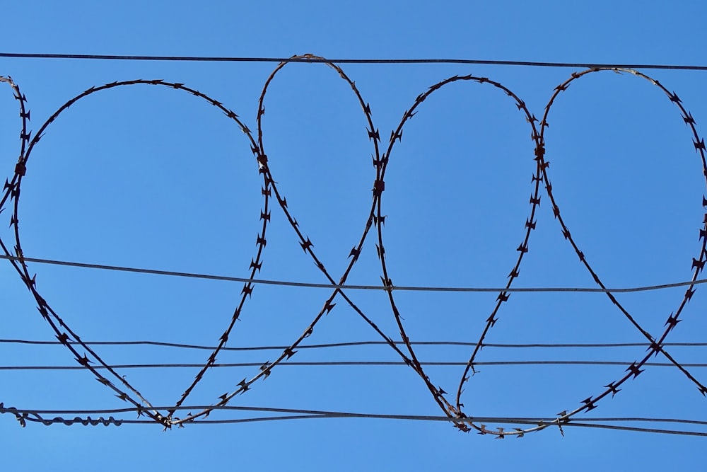 black wire fence under blue sky during daytime