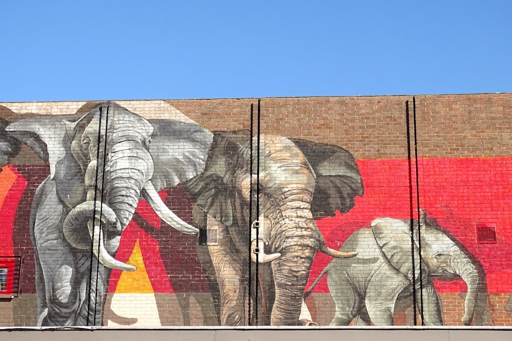 Elefante y elefante arte mural