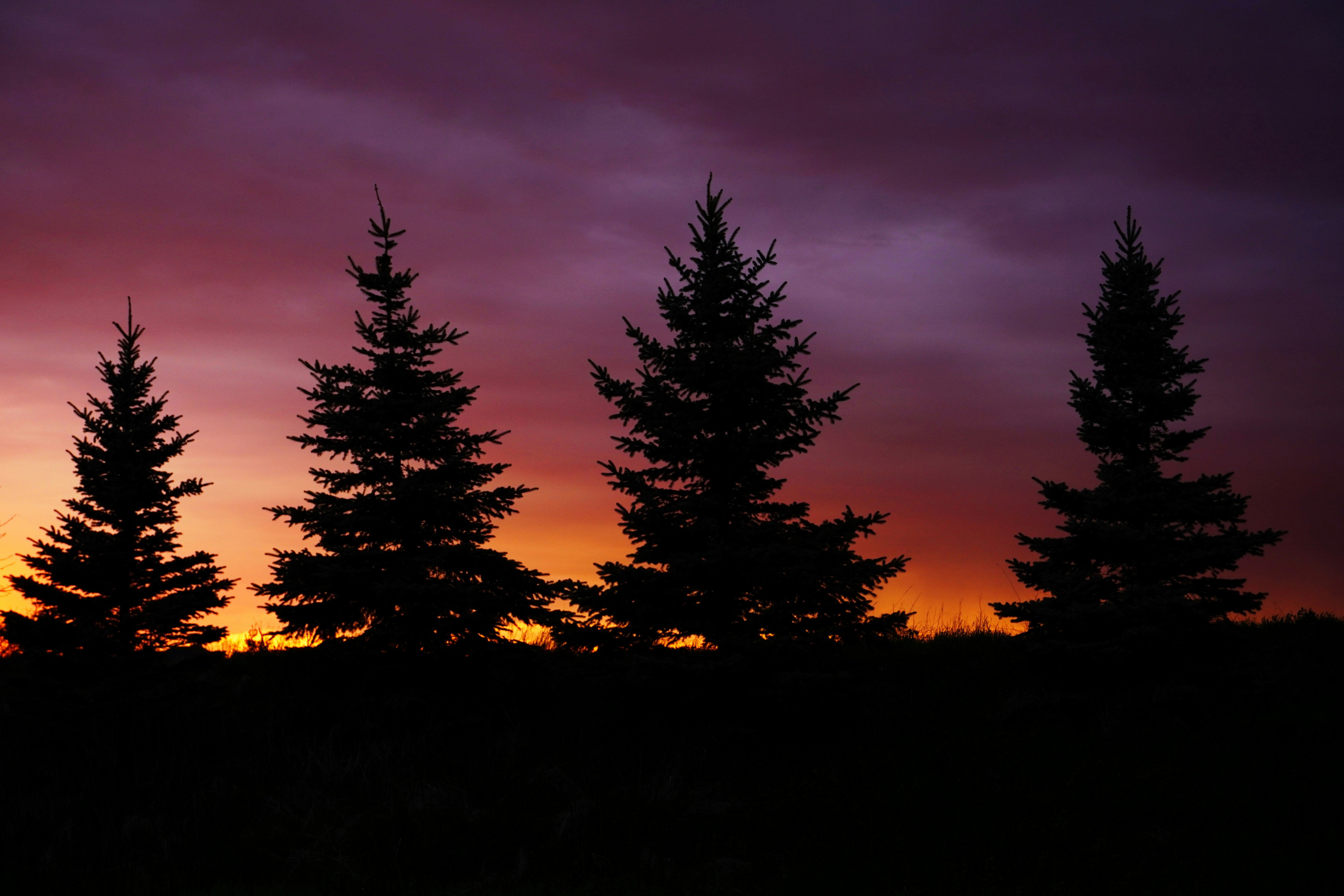 Photo by meri_vasilevski