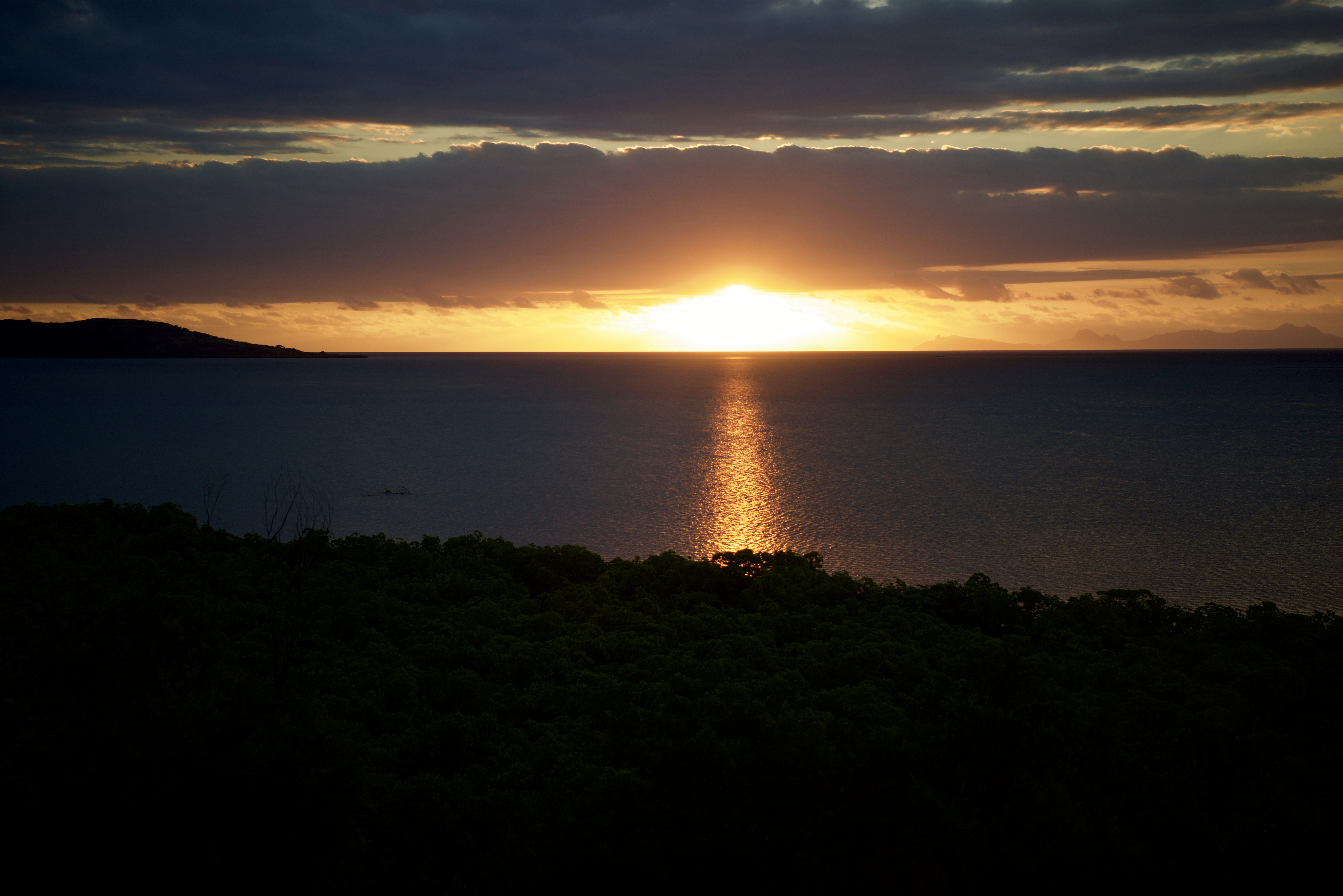 green grass near body of water during sunset