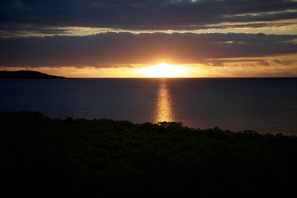 green grass near body of water during sunset