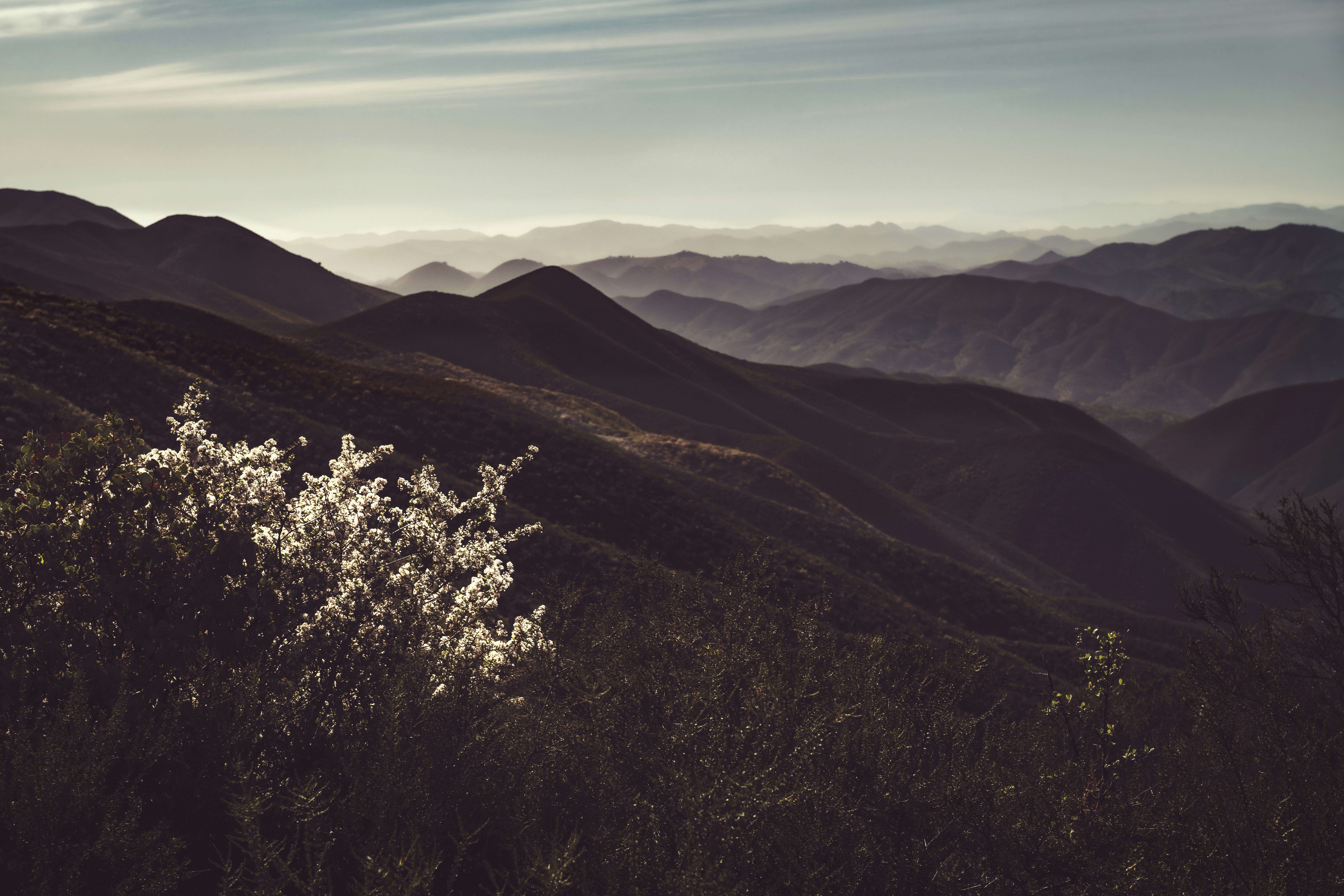 Brown and green mountains under blue sky during daytime photo Free