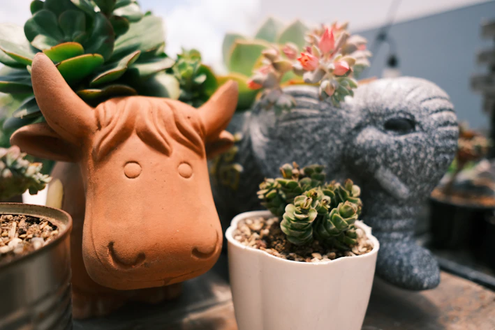 A colorful ceramic cartoon dinosaur planter holding a small fern.