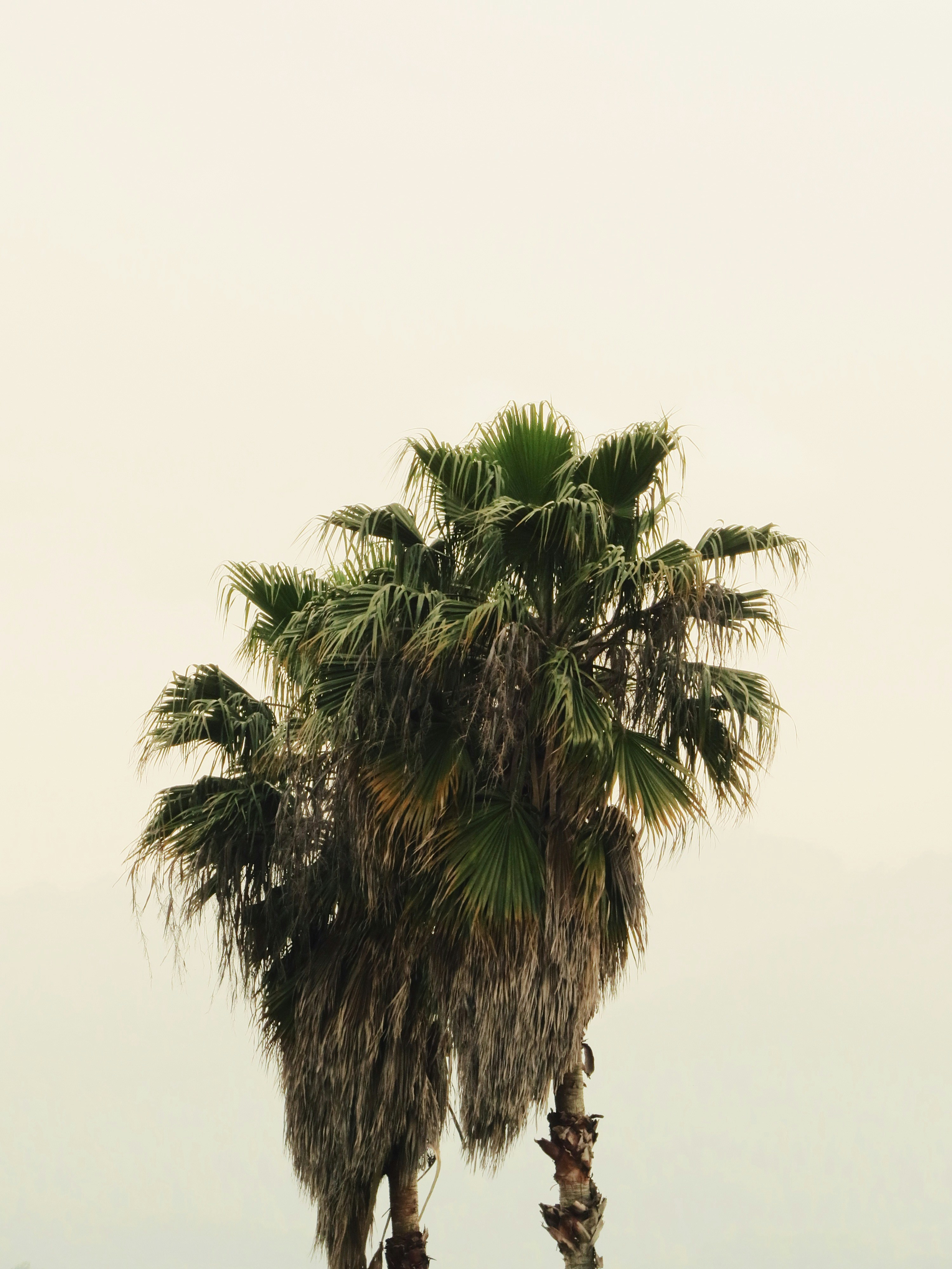 Photo by varioussaad