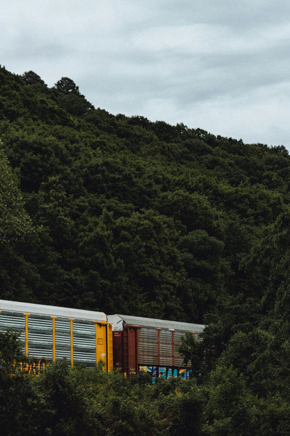 yellow and orange train on rail tracks