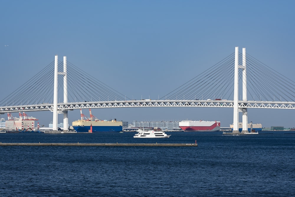 white and red ship on sea near bridge during daytime