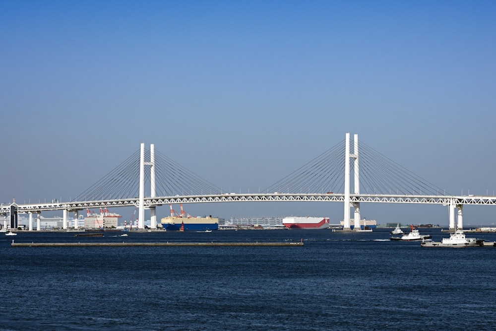 white bridge under blue sky during daytime